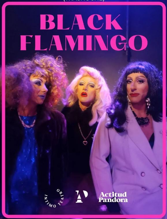 Black Flamingo, obra de teatro