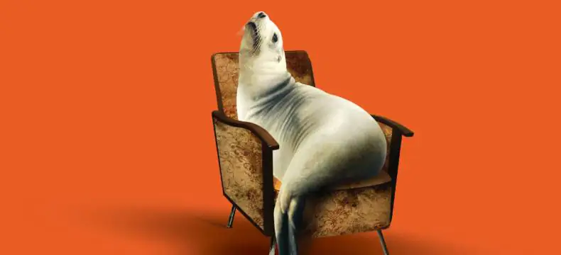 Las lágrimas de los animales marinos, obra de teatro